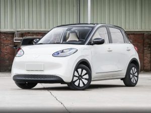 Wuling Bingo 2023 410KM Premium Edition