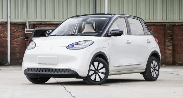 Wuling Bingo 2023 410KM Premium Edition